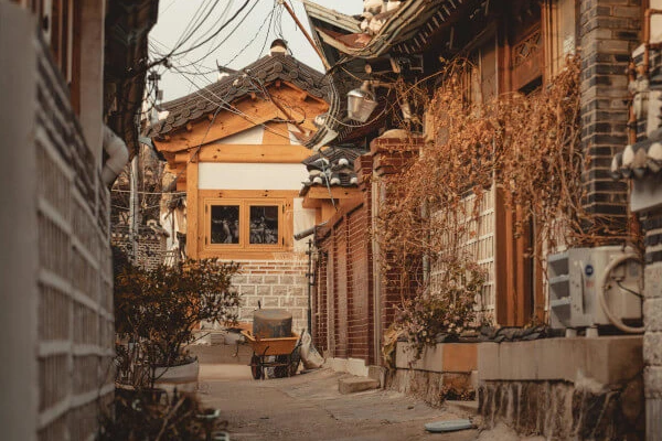 使用中文继续 (Chinese)